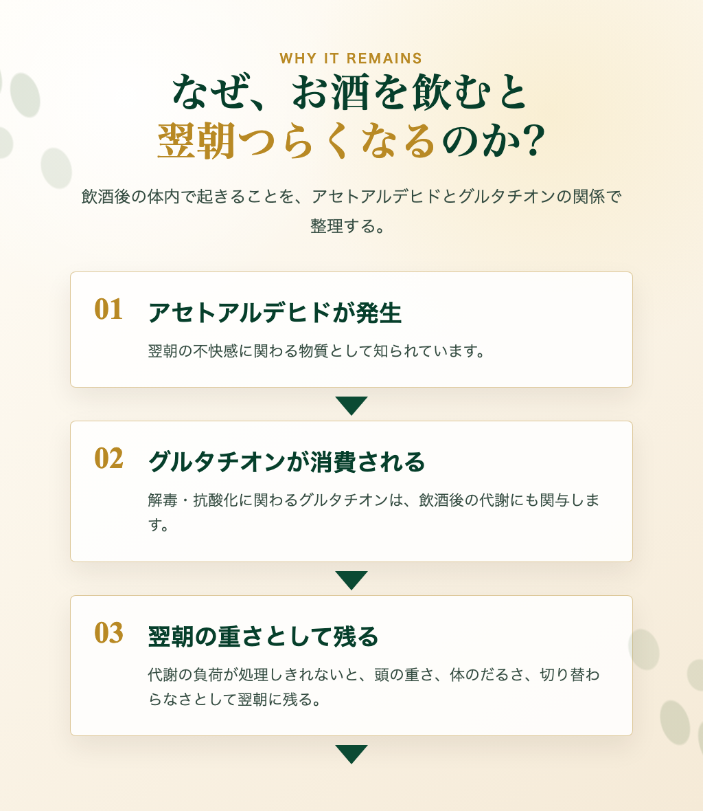 なぜ、お酒を飲むと翌朝つらくなるのか。