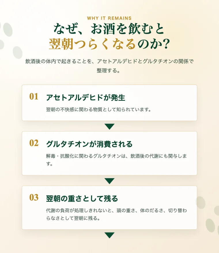 なぜ、お酒を飲むと翌朝つらくなるのか。